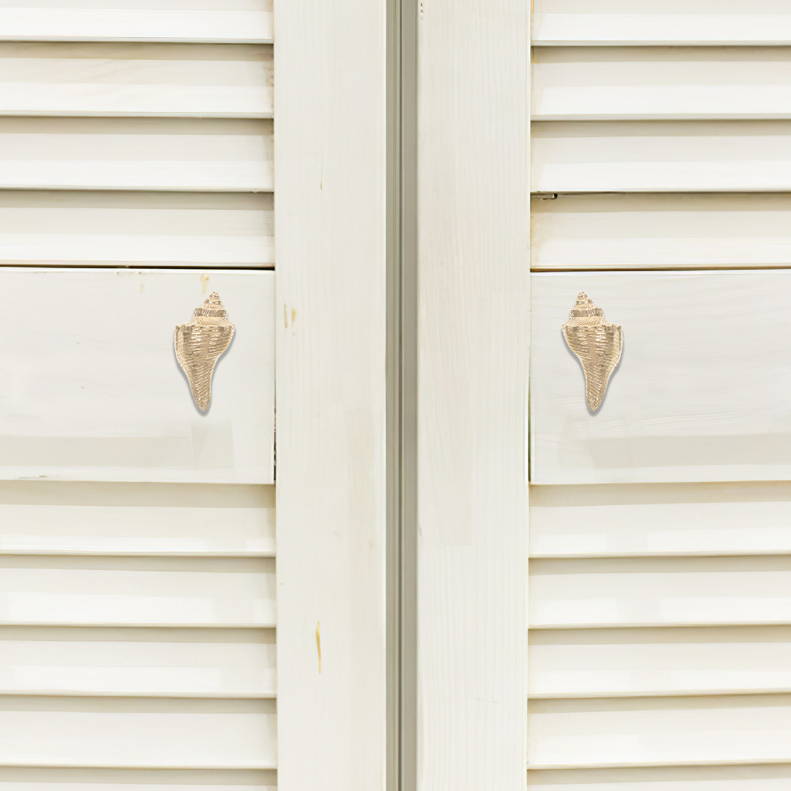 Woodworking Inspiration - 2Pcs Elegant Brass Conch Cabinet Handles